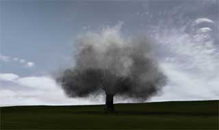 smoking tree smoking tree